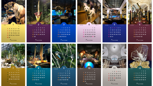 国立科学博物館 22年オリジナルカレンダーのスマートフォン用 壁紙 印刷用データを公開 ニュース デジタル行政