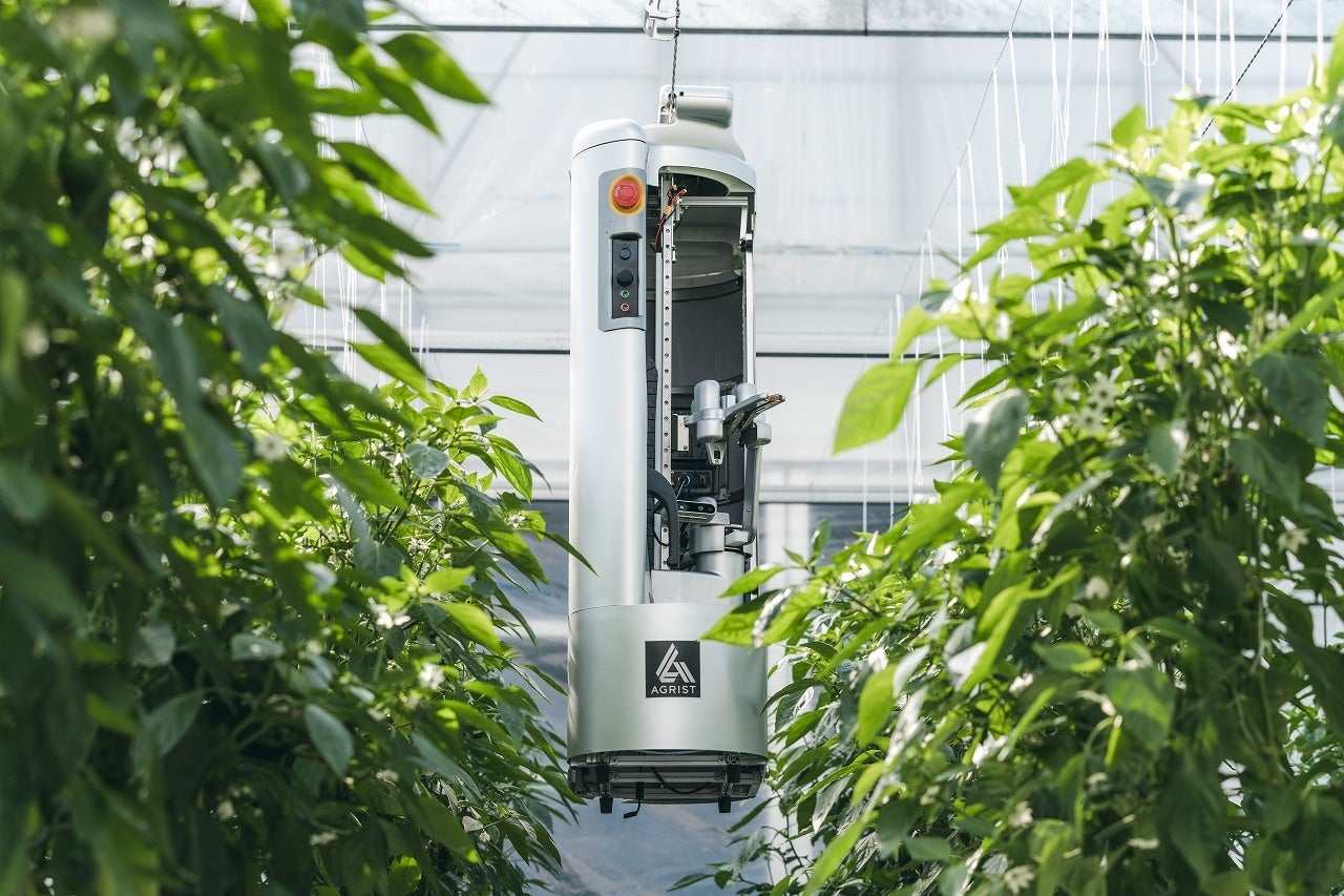 鹿児島県、ピーマン自動収穫ロボットの実証実験を開始[ニュース]